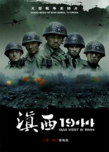 《柳叶刀》电视剧_全集完整版高清在线观看,剧