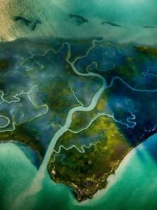 鸟瞰世界 第6季