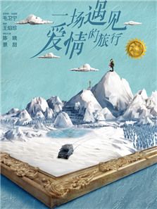 一场遇见爱情的旅行_电视剧