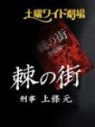 荆棘之镇电视剧全集