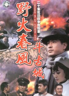 野火春风斗古城1995电视剧全集