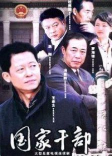 国家干部电视剧全集