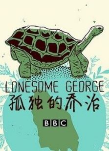 BBC：孤独的乔治