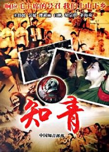 2017电视剧排行榜_好看的电视剧排行榜前十名 – 2345图片