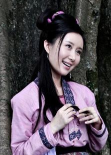 刘三姐2010电视剧全集
