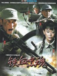 铁血忠魂电视剧全集
