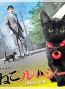 点击播放《黑猫露西》