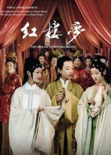 新红楼梦(2010版)(2010)电视剧主演:蒋梦婕白冰姚笛周采芹唐朝网络电视剧图片