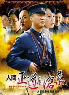 2017电视剧排行榜_好看的电视剧排行榜前十名 – 2345图片