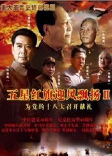 五星红旗迎风飘扬2未删减版电视剧全集