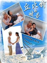 丘比特的被告电视剧全集