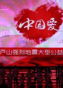中国爱420芦山地震公益晚会
