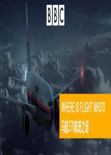 BBC：马航370航班之谜