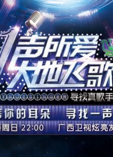 一声所爱 大地飞歌