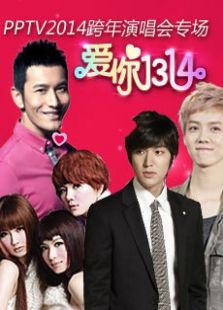 2014跨年演唱会