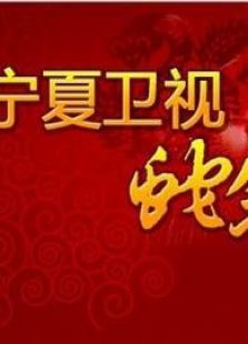 宁夏卫视2013春晚免费百度云视频在线观看