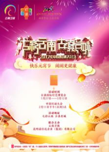 2017云南卫视灯谜大会