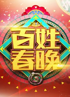 百姓春晚 2014
