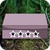 Ѱ����ʥ�ڷ���